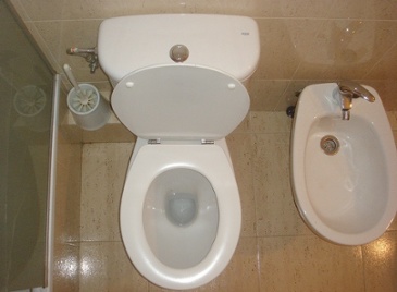 Toilet Image
